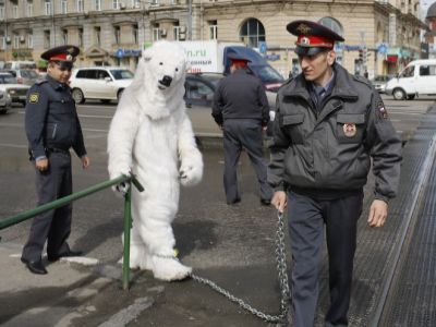 акция Grenpeace Фото: Grenpeace.ru акция Grenpeace Фото: Grenpeace.ru