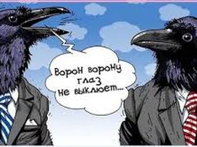 Ворон ворону глаз не выклюет Ворон ворону глаз не выклюет
